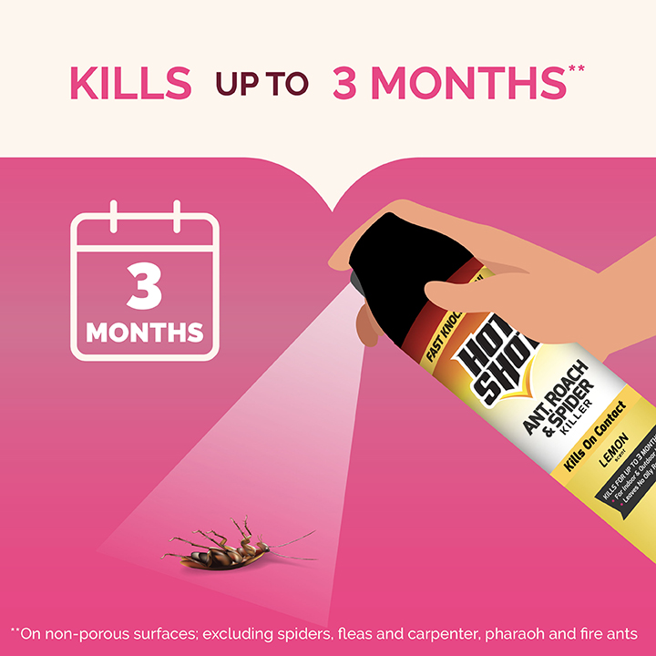 HG-97682 Ant, Roach & Spider Killer Lemon Scent 17.5 oz Kills up to 3 Months